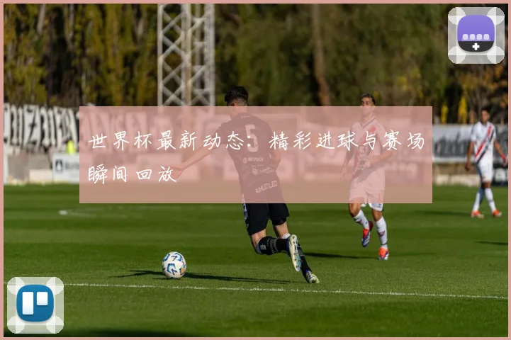 世界杯最新动态：精彩进球与赛场瞬间回放